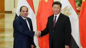 ابراهيم ابوزيد