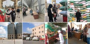 بدء توريد القمح بصوامع مركز ومدينة دسوق بكفرالشيخ