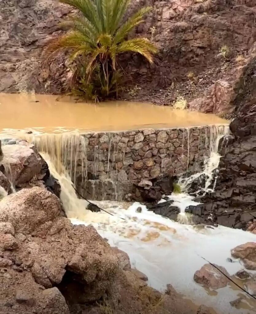 سانت كاترين. حيث تُبطئ الجبال إيقاع القلب. محمد رمضان أمين