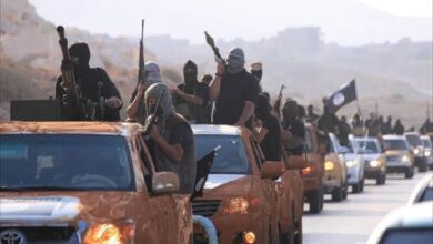 واقع الإرهاب في غرب إفريقيا تحت مجهر الأزهر