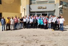 وزارة التعليم العالي والبحث العلمي, خطة شاملة لتطوير المنظومة البحثية