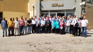 وزارة التعليم العالي والبحث العلمي, خطة شاملة لتطوير المنظومة البحثية