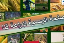 «زراعة قنا» تُعلن جداول توزيع الأسمدة المدعمة للمزارعين بمراكز وقرى المحافظة