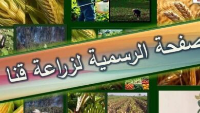 «زراعة قنا» تُعلن جداول توزيع الأسمدة المدعمة للمزارعين بمراكز وقرى المحافظة