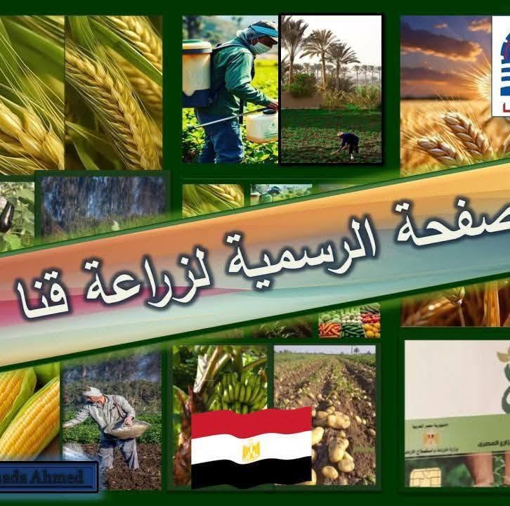 «زراعة قنا» تُعلن جداول توزيع الأسمدة المدعمة للمزارعين بمراكز وقرى المحافظة