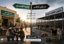 أيهما أولى بالرعاية؟. بقلم/ صلاح على قطب