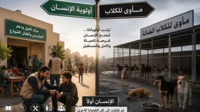 أيهما أولى بالرعاية؟. بقلم/ صلاح على قطب