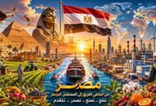 كيف تصنع مصر إمبراطوريات إنتاجية تنافس العالم؟
