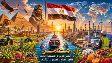 كيف تصنع مصر إمبراطوريات إنتاجية تنافس العالم؟