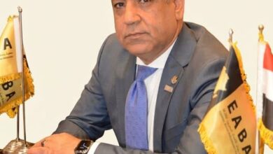 رجال الأعمال المصريين الأفارقة تضع توصياتها أمام المهندس خالد هاشم وزير الصناعة