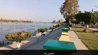 الأرصاد تكشف تفاصيل طقس الأيام المقبلة