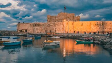 عجوز الميناء.. بقلم/ غدير حميدان الزبون. فلسطين