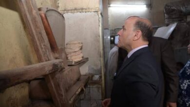 35 محضرًا خلال حملات رقابية مكثفة على مخابز بمحافظة الغربية.