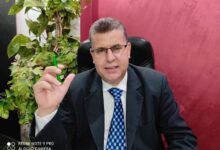 إسلام عمرو وزوجته ريطة. بقلم/ محمـــد الدكـــروري