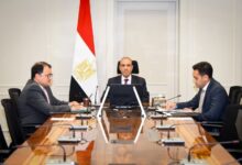 وزير الخارجية يبحث مع وزير خارجية سيشل