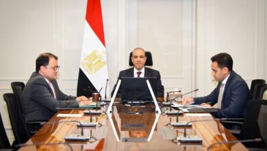 وزير الخارجية يبحث مع وزير خارجية سيشل
