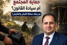 أروقة القانون... وحياة الناس