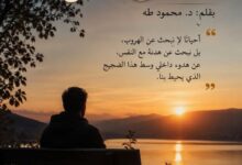هدنة مع النفس... بقلم الأديب د. محمود طه