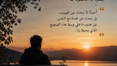 هدنة مع النفس... بقلم الأديب د. محمود طه