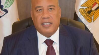 أيمن العشري: 12 عامًا من الإنجازات الصناعية في عهد الرئيس السيسي