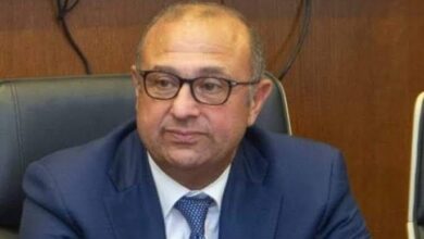 محمدسعده: التطبيق الفعلي لمنظومة TIR