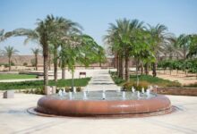 الجامعة الأمريكية بالقاهرة تطلق الإصدار الرابع من تقرير الاستدامة