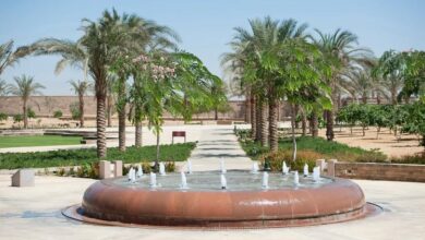 الجامعة الأمريكية بالقاهرة تطلق الإصدار الرابع من تقرير الاستدامة