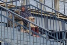 اعترافات عصابة استغلال الأطفال في التسول بالقاهرة..