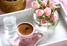 الاوتبيا و انعكاساتها على الصورة الفنية في قصيدة طيور البلشون البيضاء