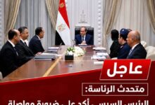 بتوجيهات الرئيس.. الاكتفاء الذاتي بوابة مصر نحو اقتصاد أكثر قوة