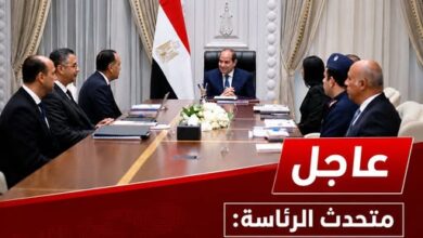 بتوجيهات الرئيس.. الاكتفاء الذاتي بوابة مصر نحو اقتصاد أكثر قوة