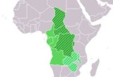 مرصد الأزهر: تراجع نسبي في هجمات وسط إفريقيا خلال يونيو 2026