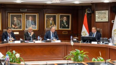 محافظ البنك المركزي المصري يلتقي بوزير التعليم العالي