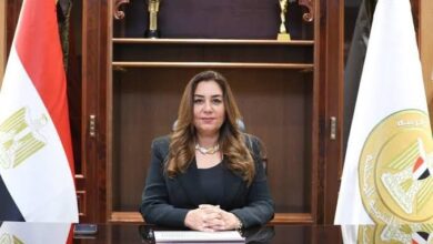وزيرة التنمية المحلية تتابع تنفيذ الأنشطة الاقتصادية في 120 قرية بالصعيد