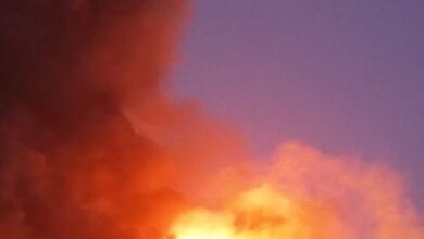 ماس كهربائي وراء حريق مصنع أخشاب بالسنطة.. والحماية المدنية تسيطر