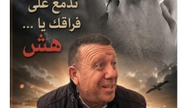 هنا نابل. بقلم المعز غَنِـي