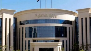 الداخلية تنفي إبعاد مواطنين مصريين خارج البلاد: "شائعات لا أساس لها من الصحة"