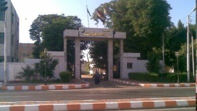 التأمين الصحي بقنا: تعاقدات جديدة لحضانات الأطفال
