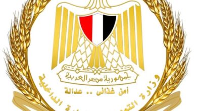وزير التموين يتابع تطوير منظومة الرقابة على الأسواق باستخدام الحلول الرقمية