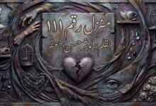 منزل رقم 111... قصة قصيرة بقلم : كوثر حسن جعفر  