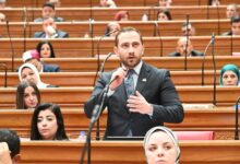 زيارة الرئيس الصيني لمصر تؤسس لمرحلة جديدة من الشراكة الاستراتيجية
