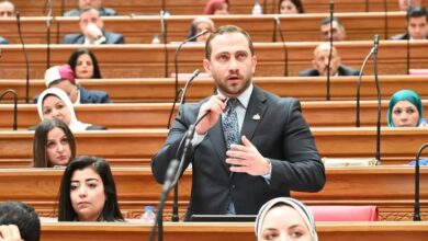 زيارة الرئيس الصيني لمصر تؤسس لمرحلة جديدة من الشراكة الاستراتيجية