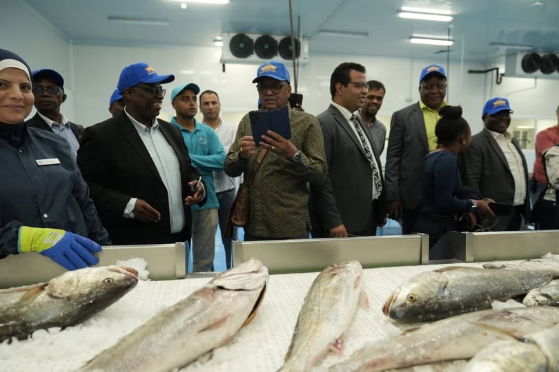 تعاون مشترك بين هيئة قناة السويس ووفد سفراء الجماعة الإنمائية للجنوب الإفريقي (SADC)