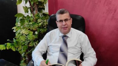 الإمام اليمني أبو الفتح الناصر