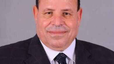 شبكة إعلام المرأة العربية تضم الجوهري الشبيني مستشارًا لشؤون الطاقة المتجددة