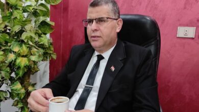 أبو الحسن النحوي اللغوي المقرئ البياني