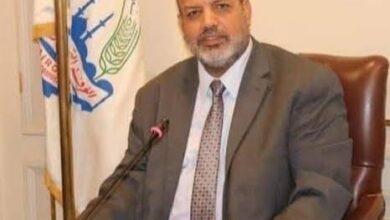 فوزي عبد الجليل: مشاركة مصر في قمة «بريكس» تعزز فرص التجارة والاستثمار