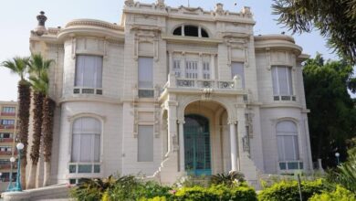 جامعة عين شمس تعزز مكانتها العلمية عالميًا بظهورها في 7 تخصصات
