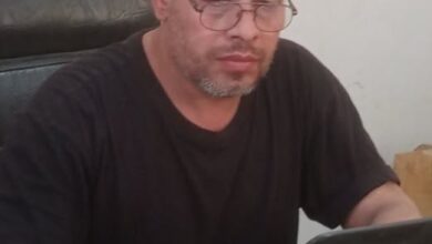 حين عاد المغول إلى دمشق. بقلم / محمد مصطفى كامل