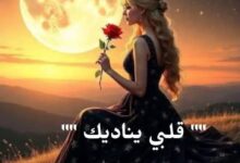 قَلْبي يُناديك. بِقَلَم د. ملك أحمد